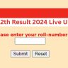 RBSE 12th Result 2024 Live Updates: Rajasthan Board Arts, Science and Commerce Stream Results Soon at rajresults.nic.in