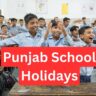 Punjab School Holidays: School Holidays in Punjab, Important News School Starts on 1st July