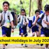 School Holidays in July 2024: Summer holidays extended again, know how many days schools will remain closed in the month of July