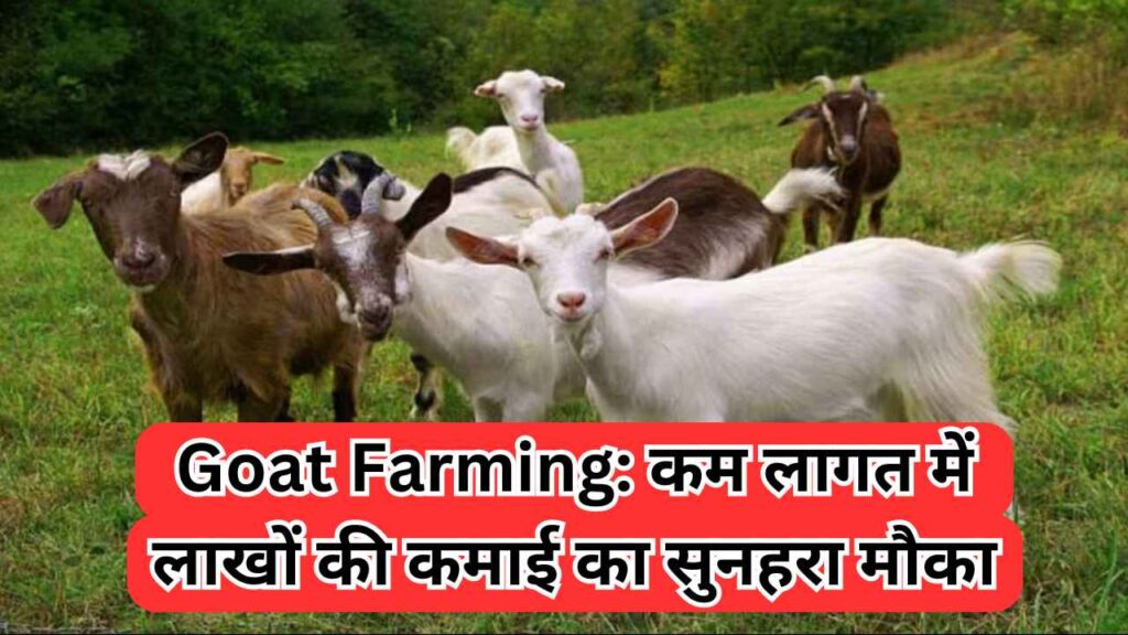 Goat Farming: कम लागत में लाखों की कमाई का सुनहरा मौका