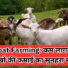 Goat Farming: कम लागत में लाखों की कमाई का सुनहरा मौका