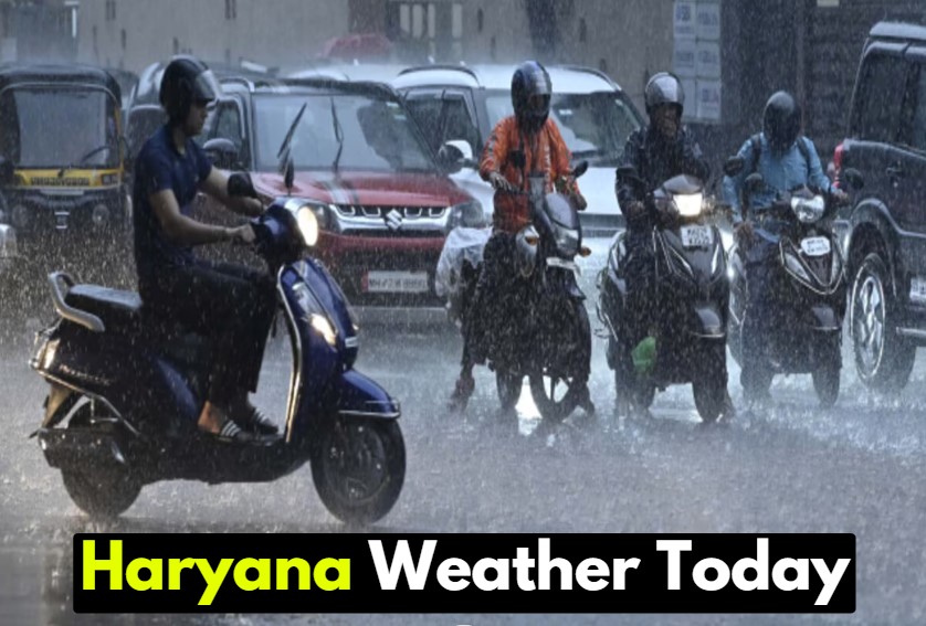 Haryana Weather Today: Rain warning in next few hours in these districts of Haryana, check weather forecast