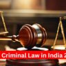 New Criminal Law in India 2024: How will the new laws be implemented? Police ready