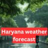 Haryana weather forecast: Monsoon in Haryana, Orange alert for heavy rain in these districts today