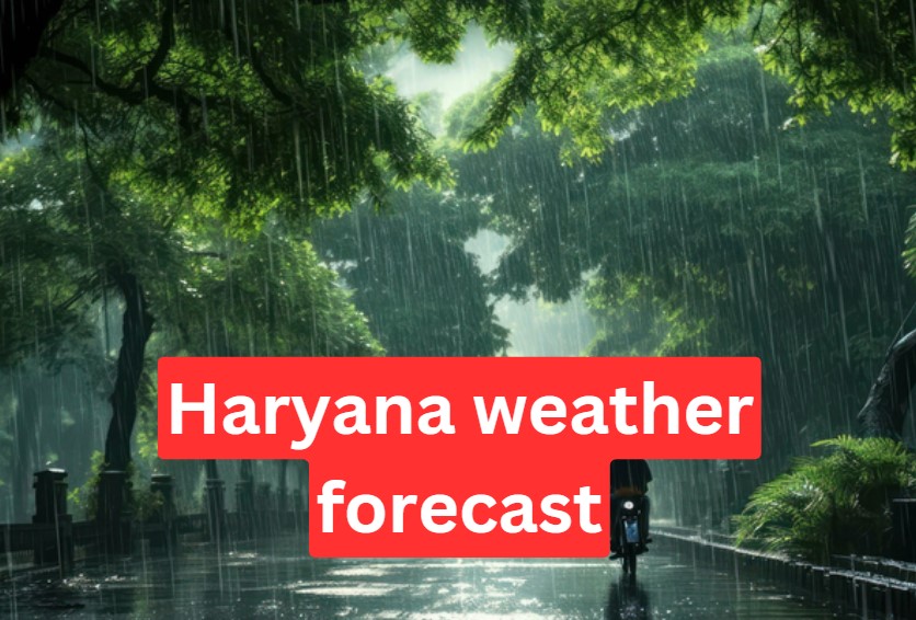 Haryana weather forecast: Monsoon in Haryana, Orange alert for heavy rain in these districts today