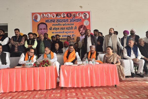 Senior BJP workers will be honoured by going door to door: Badauli