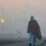 Second day of cold wave in Haryana, one died due to cold in Hisar