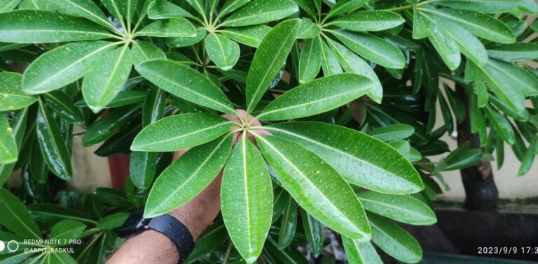3458855_HYP_0_FEATUREIMG-20230910-WA0012-169434074616x9.jpg