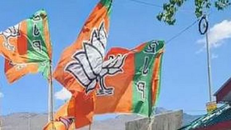 bjp_78c4def86c8970b7c2bae6237ac4d3a5.jpeg