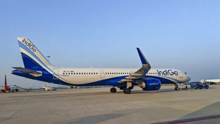 indigo-1768720427.jpg